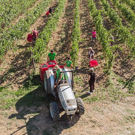 Il Querciolo - Azienda Biologica, Agriturismo E Cantina Marciano della Chiana 외부 사진