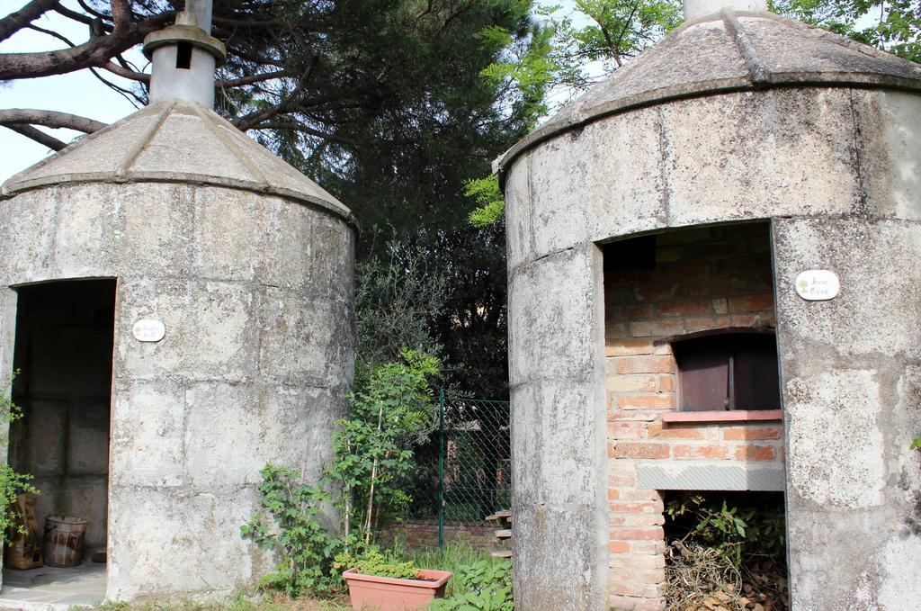 Il Querciolo - Azienda Biologica, Agriturismo E Cantina Marciano della Chiana 외부 사진