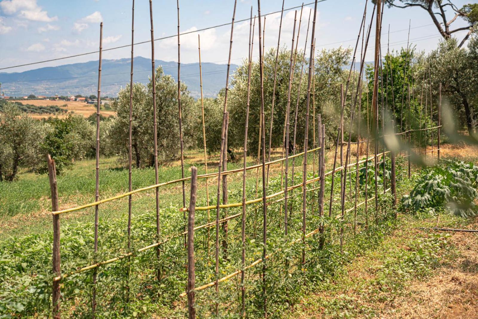 Il Querciolo - Azienda Biologica, Agriturismo E Cantina Marciano della Chiana 외부 사진