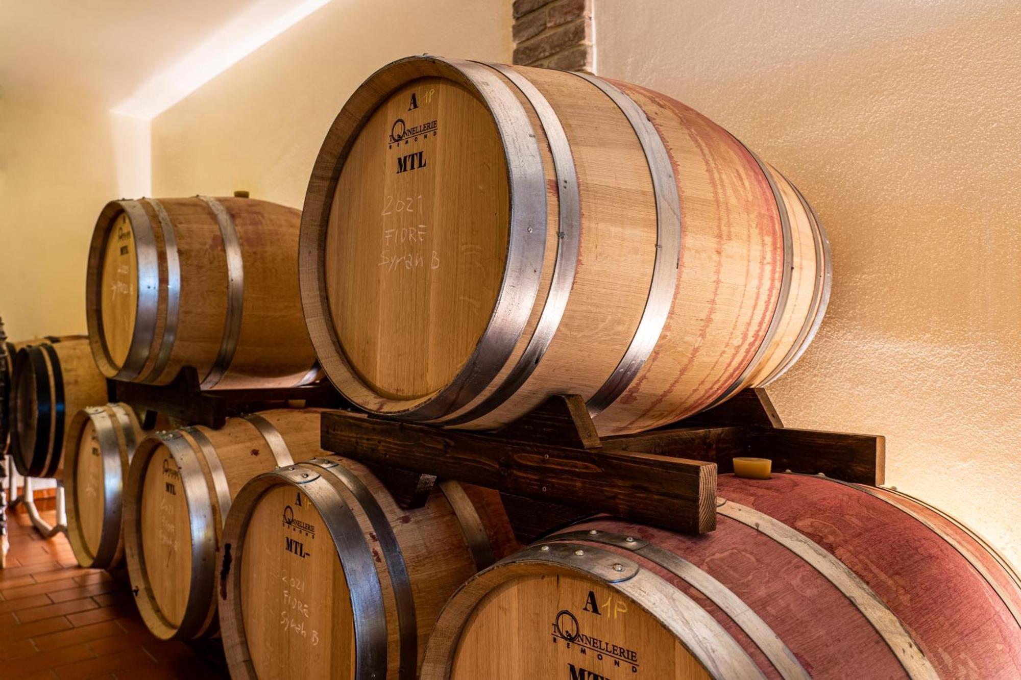 Il Querciolo - Azienda Biologica, Agriturismo E Cantina Marciano della Chiana 외부 사진
