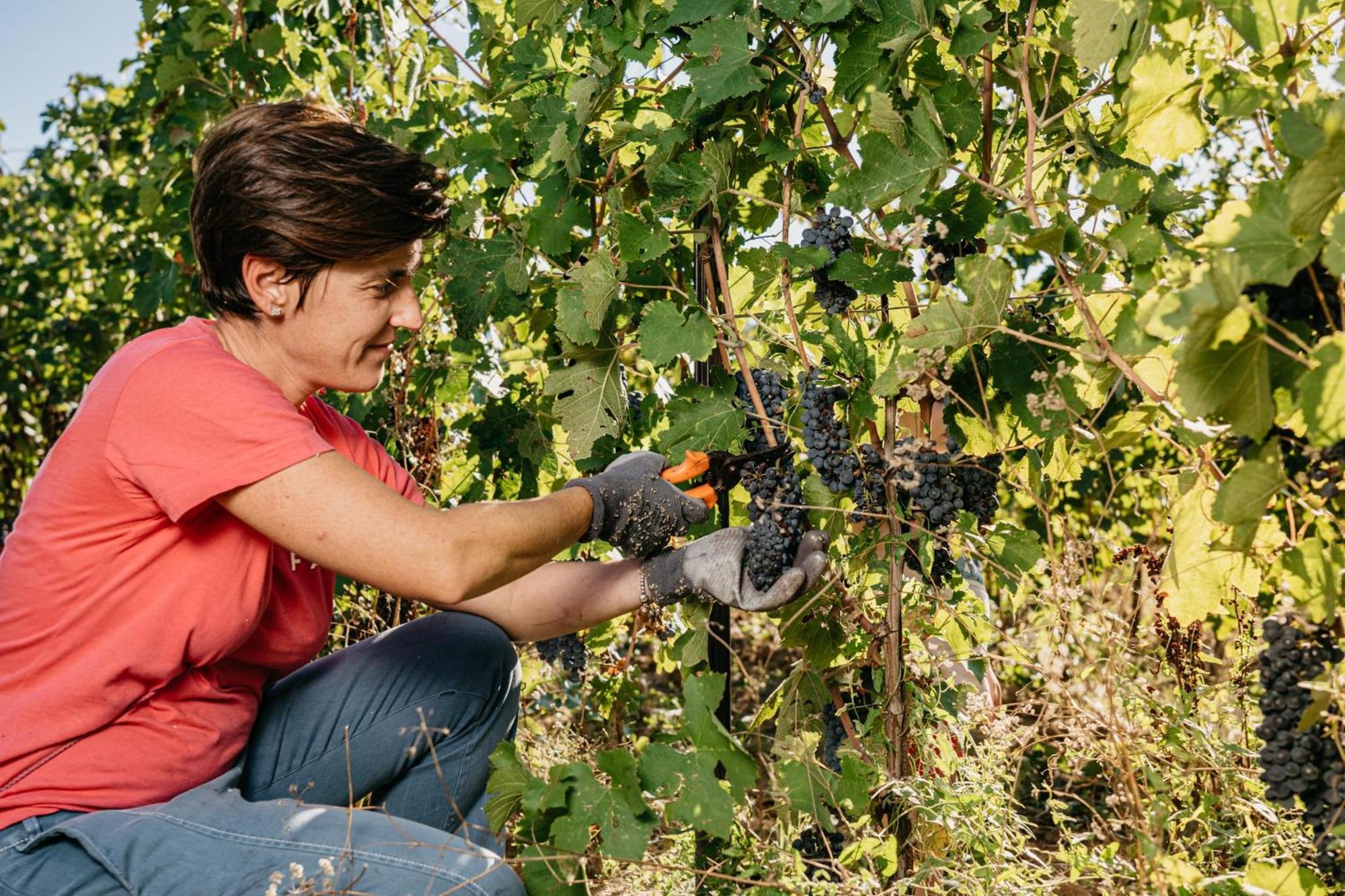 Il Querciolo - Azienda Biologica, Agriturismo E Cantina Marciano della Chiana 외부 사진